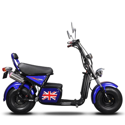 Электроскутер Harley Scooter H13 1000W (60V/12Ah)